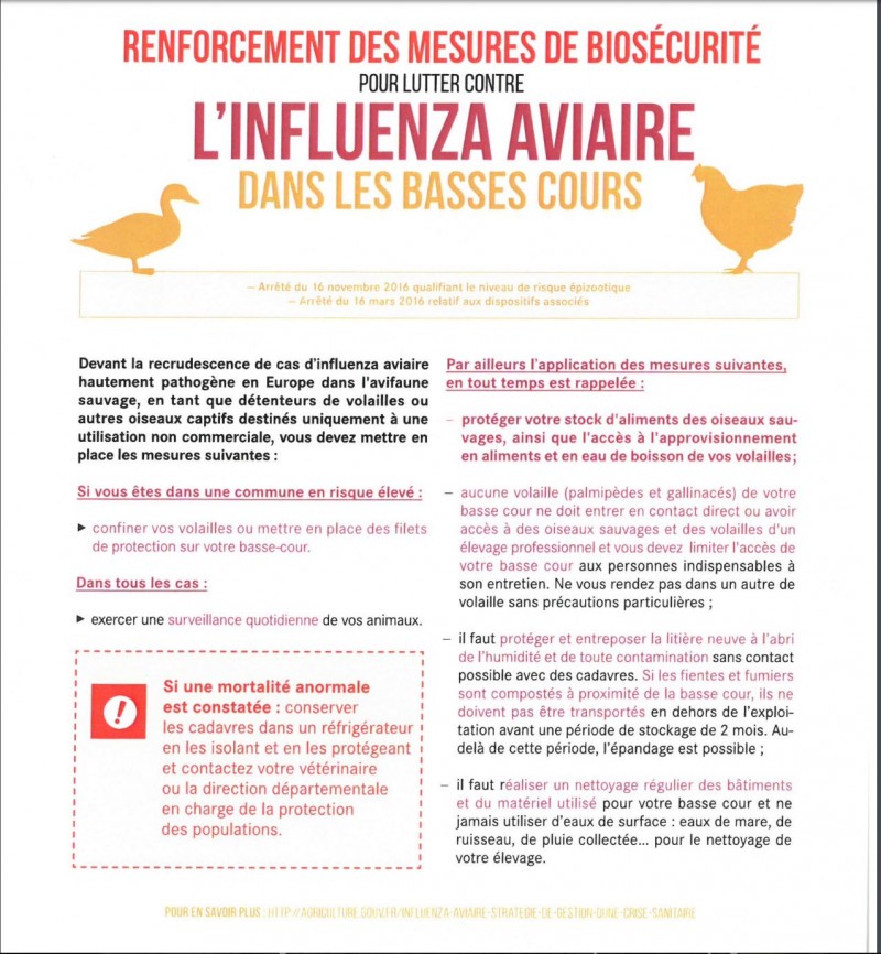 Influenza Aviaire Renforcement Des Mesures De Bios Curit Ville De