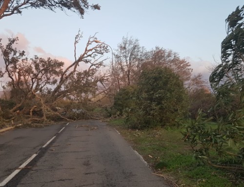 Tempête : Déclaration aux assurances